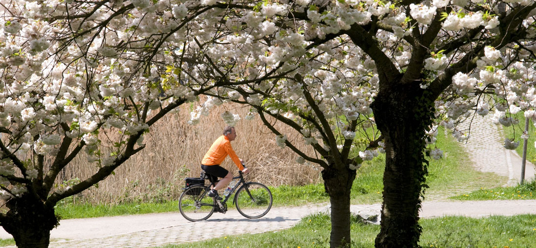 Ferienwohnungen Merzhausen